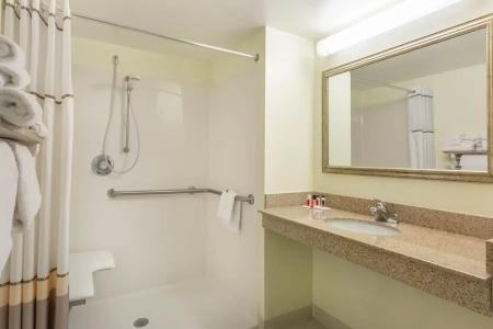 Ramada Plaza by Wyndham Virginia Beach - 46