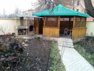 Подсолнух - 8
