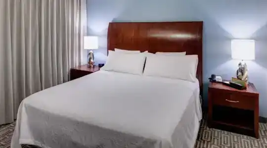 Hilton Garden Inn Denver Downtown - 85