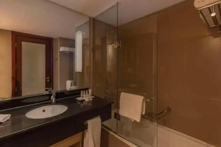 Radisson Blu, Cairo Heliopolis - 52