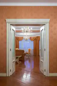 Cosmos Petrozavodsk - 123