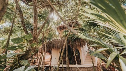 Papaya Playa Project - 72