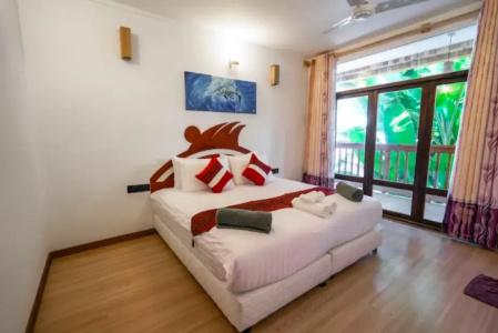 Lilac Stay Rasdhoo - 30