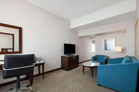 Radisson Blu Ankara - 55