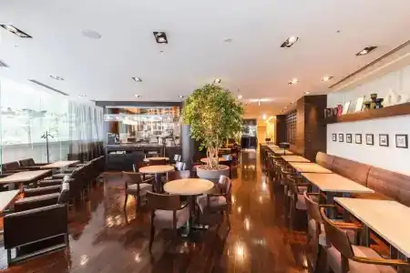 Sunroute Plaza Shinjuku - 23