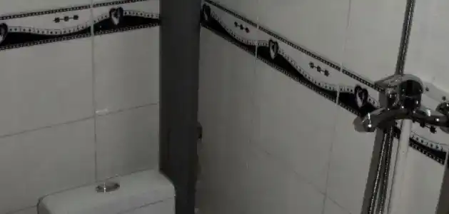 Золотой Лотос - 33