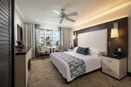 The Palms & Spa - 5