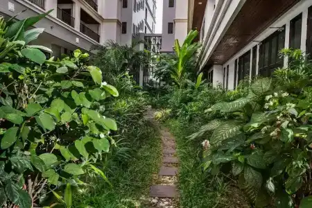 Mike Garden Resort - Sha Extar Plus - 24