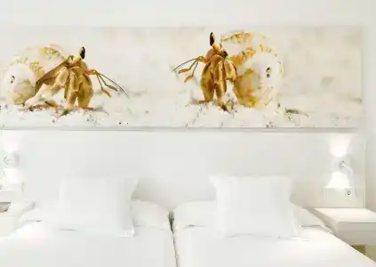 Iberostar Cristina - 34
