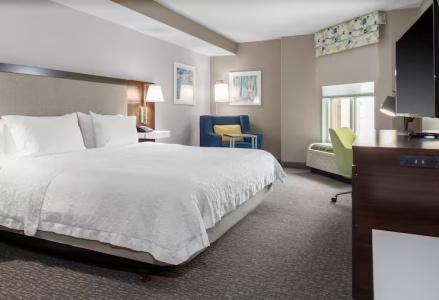 Hampton Inn & Suites Crystal City Dca - 31
