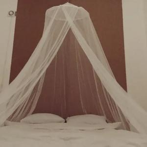 Hostel Wanderlust - 37