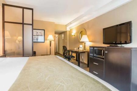 Comfort Suites Downtown - 25