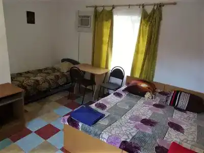 Белая Чайка - 16