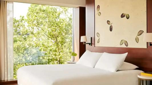 Park Hyatt Zurich – City Center Luxury - 88