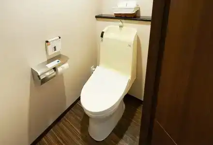 Sotetsu Fresa Inn Tokyo-Akasaka - 55