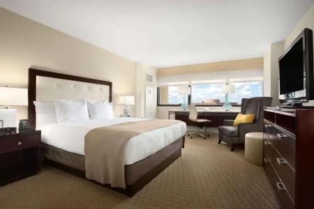 Hilton Miami Airport Blue Lagoon - 37