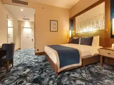 Tbilisi Philharmonic by Mercure - 28