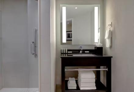 Embassy Suites by Hilton/ Fallsview - 70