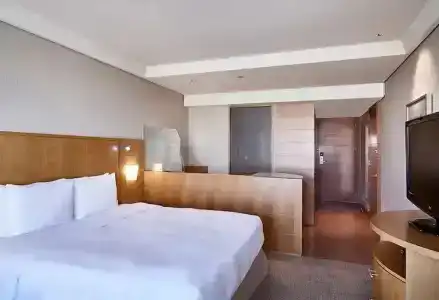 Hilton Sao Paulo Morumbi - 77