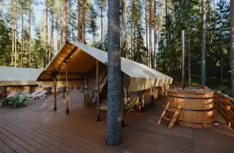 Лесная Рапсодия - 203