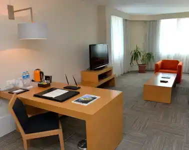 Dedeman Istanbul - 42