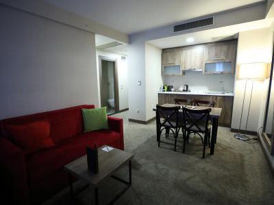 ibis Styles Istanbul Bomonti - 97
