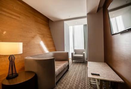 Doubletree By Hilton Mexico City Santa Fe - 67