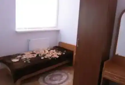 У совы - 3