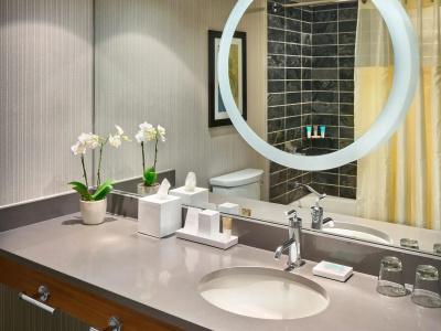 Hyatt Regency - 28