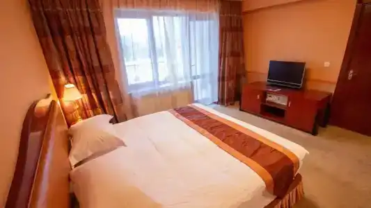 Ramada Plaza by Wyndham Gence - 106
