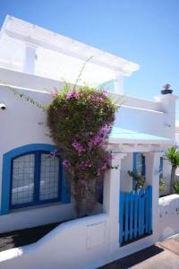 Katis Villas Boutique Fuerteventura - 21
