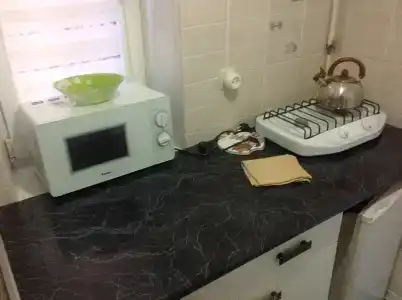 Кипарис на Красноармейском - 20
