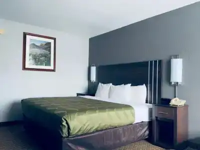Quality Inn - 38