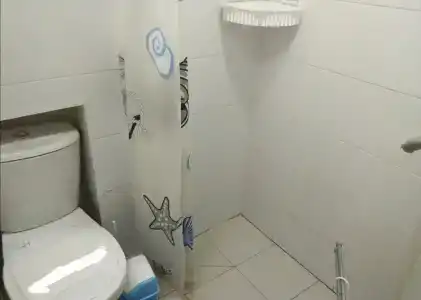 Пионеры - 2