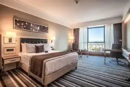 Radisson Blu, Diyarbakir - 26