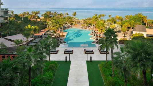Banyan Tree - 24