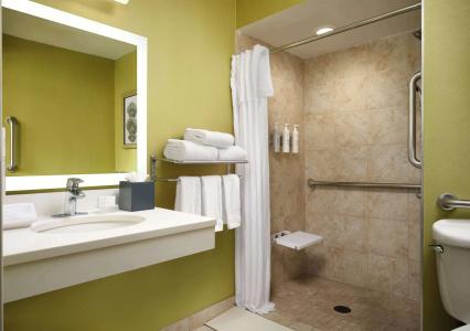 Homewood Suites Chicago Downtown - Magnificent Mile - 51