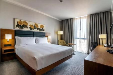 Hilton Garden Inn Tbilisi Chavchavadze - 50