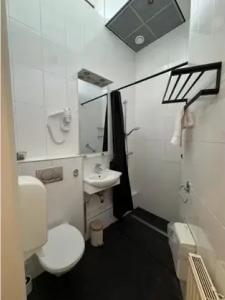 de Duif Lisse - Schiphol - 39
