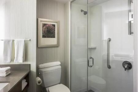 Hilton Garden Inn Long Island City - 46