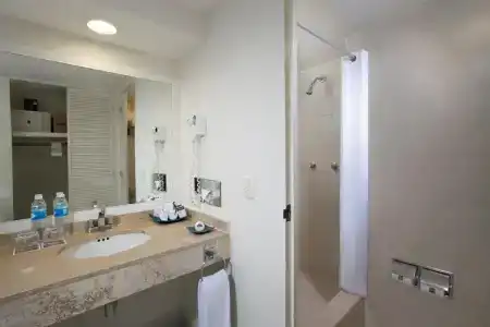 Oasis Palm - 10