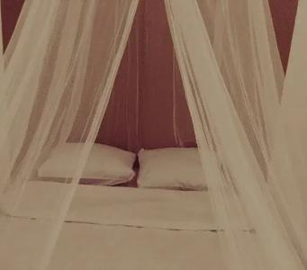 Hostel Wanderlust - 38