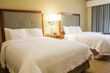 Hampton Inn Charleston-Daniel Island - 78