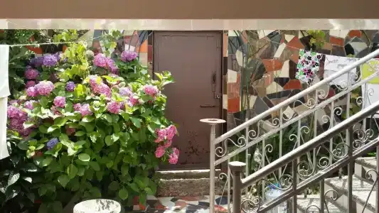 Элина - 0