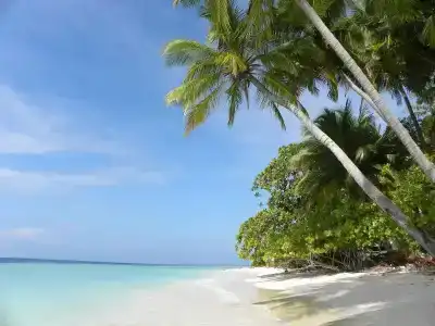 Vaali Beach Lodge Maldives - 22