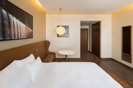 Radisson Blu, Dubai Canal View - 60