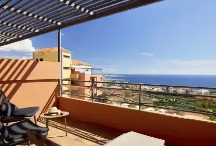Meliá Jardines del Teide - 63