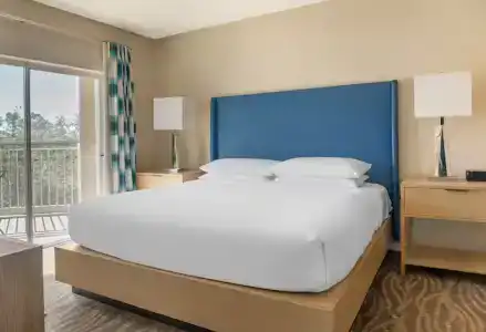 Hilton Grand Vacations Club SeaWorld Orlando - 90