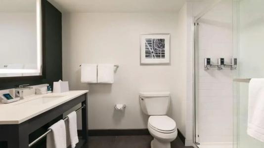 Four Points by Sheraton Arena - 29