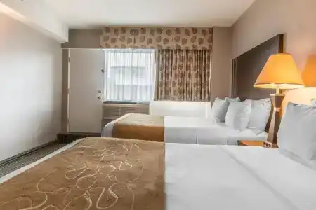 Comfort Suites Downtown - 32